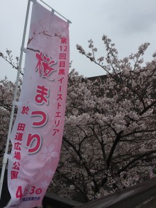 桜まつり1 