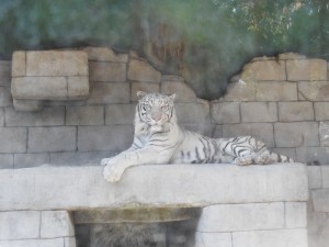 東武動物公園6