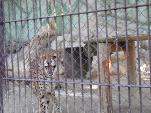 東武動物公園7